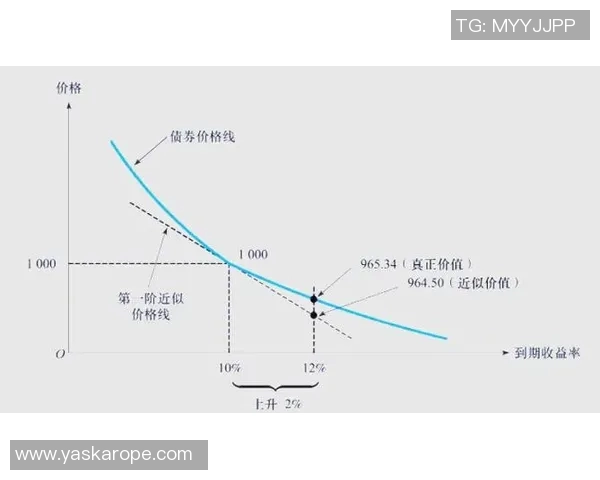 深入解析成都排球队区域防守策略与战术运用的全景分析